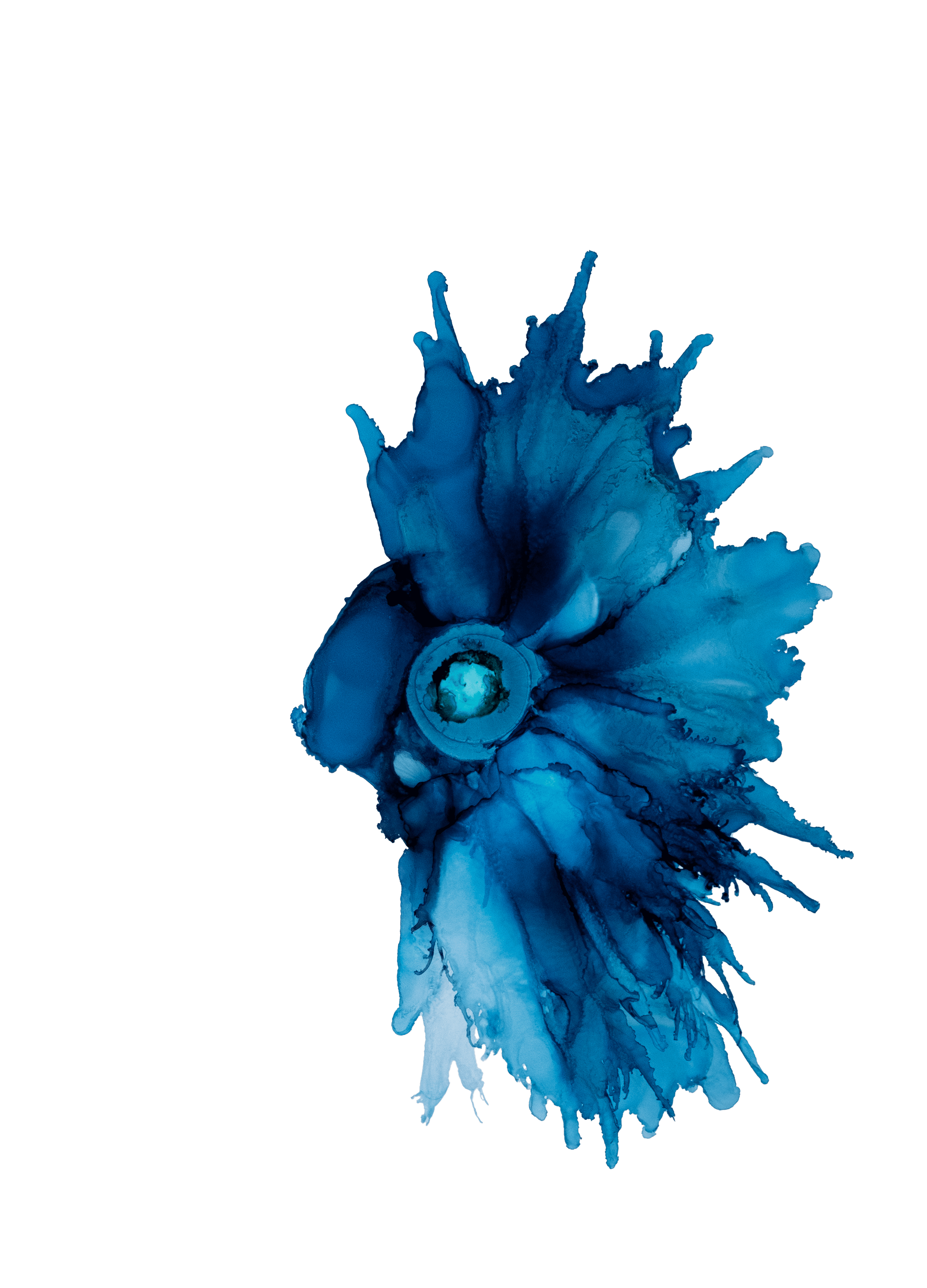 Ocean