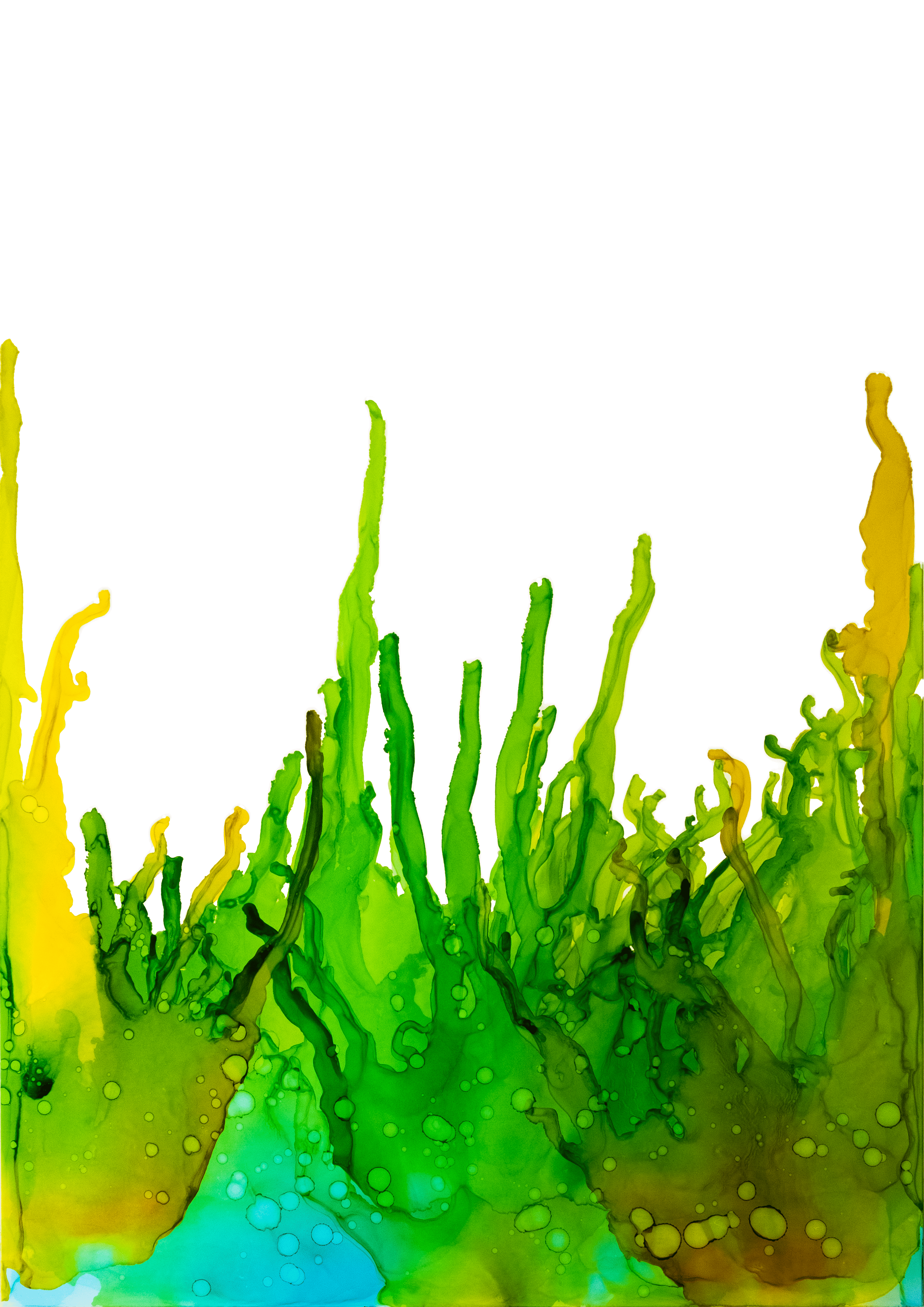 Moss