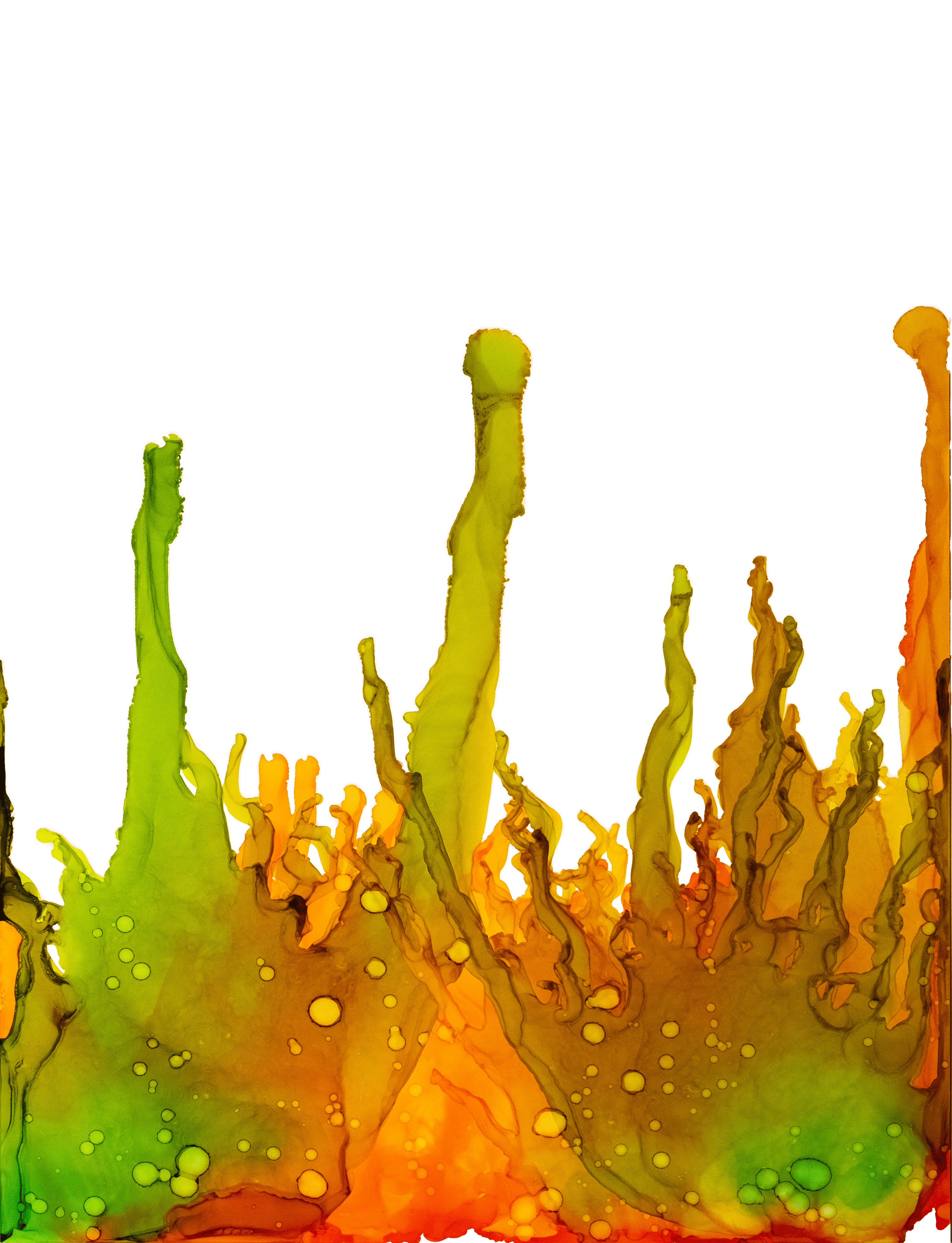 Moss II