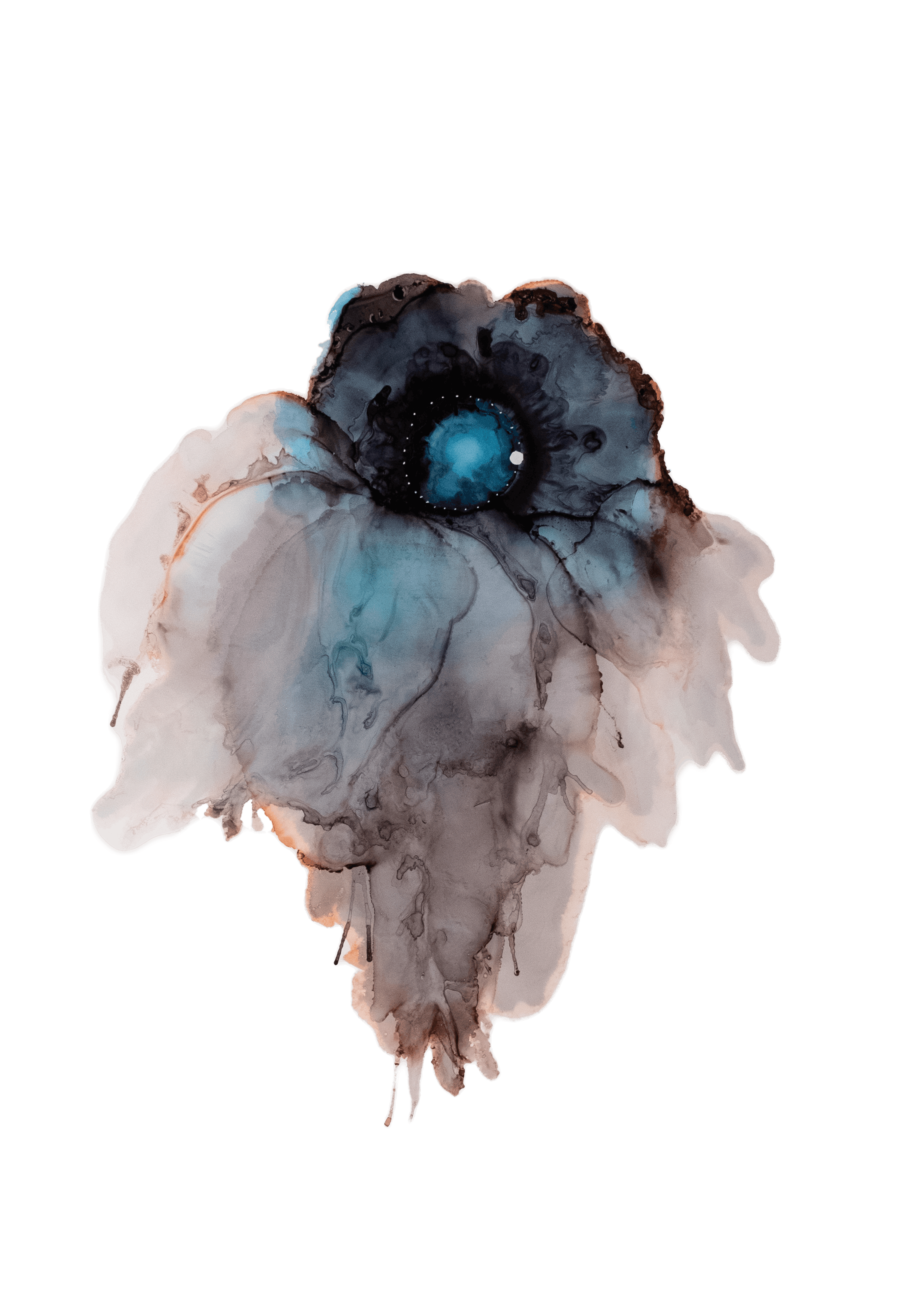 Dreamcatcher